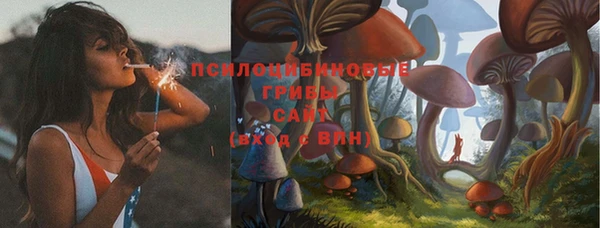 твердый Богородицк