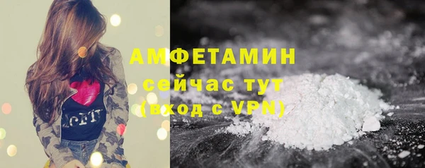 твердый Богородицк