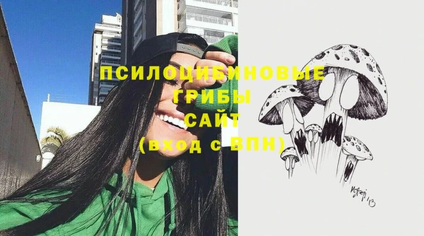 твердый Богородицк