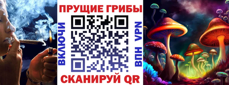 Купить закладки  Слободской  Псилоцибиновые грибы Psilocybine cubensis 